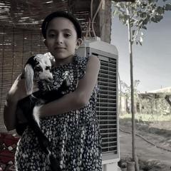 غرفه 3اسره مع مجلس داخل مزرعه