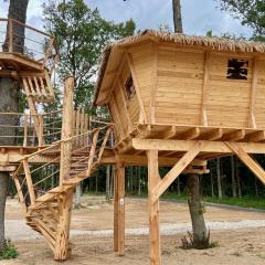 Treehouses Karlov pod Pradědem