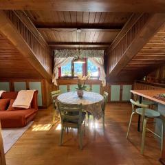 Renovated Mountain View Appartment