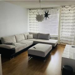 Kotimaailma - High-quality furnished apartment