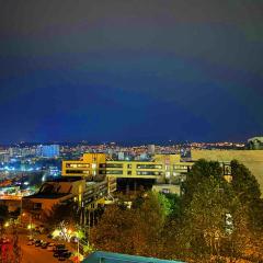 Tbilisi City