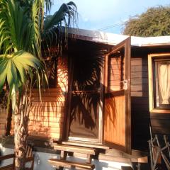 The Papangue's Nest
