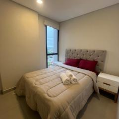 Stylish 2 Bedroom Apt In Molas Lopez