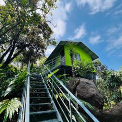 Hill valley farm resort