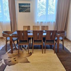 Comfortable Apartment near the City Centre