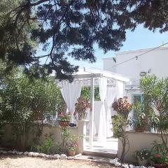 Bellaterra