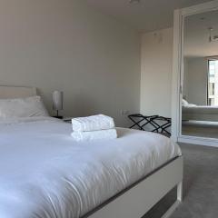 Amazing 1Bed with winter garden in Vauxhall