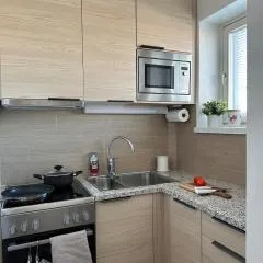 Beautiful studio in the city center