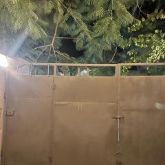 pasha nungwi zanzibar