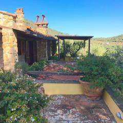 Tuscan Elegance by the Sea