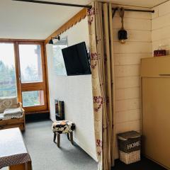 Studio cabine 4 pers, au pied des pistes, balcon - FR-1-346-593