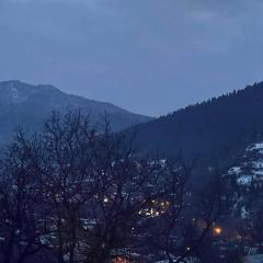 საოჯახო სახლი