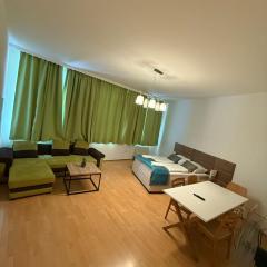 Spacious 3BR Apt Very Central in Vienna