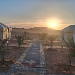 Desert Camel Trek