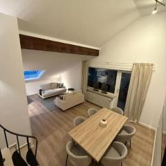 Skywalk Loft Willingen