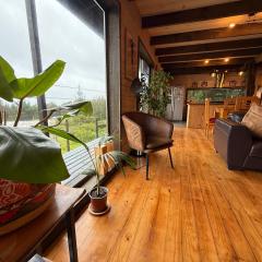 La madriguera Matanzas