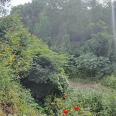 Hồ Suối Lỡ Homestay