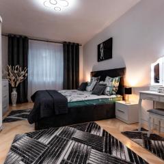 Luxury Riverside Apartment Băile Herculane