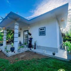Villa Tamborine Midigama