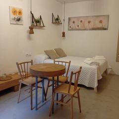 Ánimas, elegantes pisos en el centro histórico