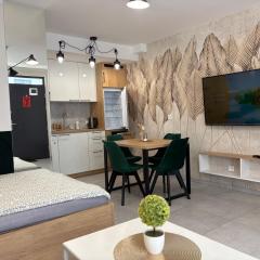 Szczyrk Apartament Dziupla - Słoneczna Góra dla 4 osób