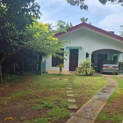 The Green Weligama