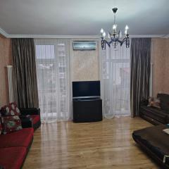 Apartments in the historical center of Batumi, near the seaside park