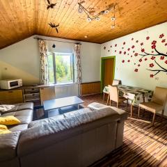 Appartements Pircher