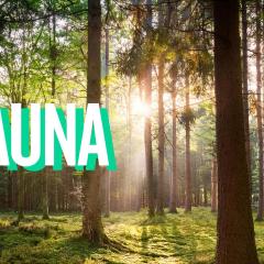 VELUWE RETREATS PUTTEN - Chalets with Huge Gardens and Private Saunas on Park with Swimming Pool, Cafeteria and More Facilities