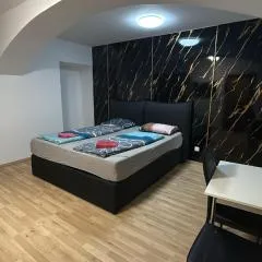 Lovely 1BR &1LR Apt with WiFi Near Amusement Park