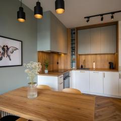 APARTVIP Rocha