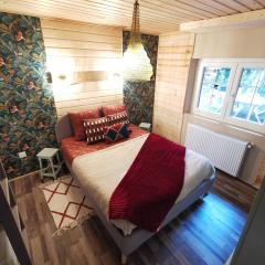 Chalet - gîte avec étang