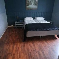Comfortable apartment near the city center and nature