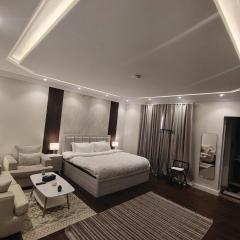 استديو هادي وانيق