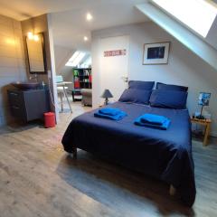 Vaste chambre à Vouvray