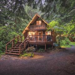 Nisqually Nest at Mount Rainier
