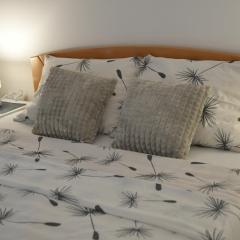 Apartman Dimic