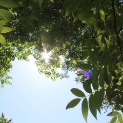 WEND URABANDAI - Vacation STAY 45606v