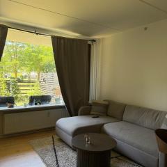 Studio apartment in Central Copenhagen
