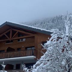 Spacious apartment with balcony in the French Alps