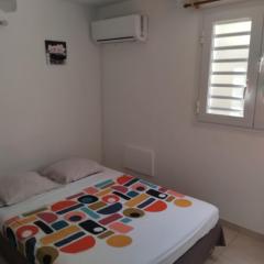 Abricotier à proximité des plages du sud