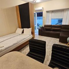Bright and Cozy Studio with Garage near the Center