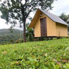 Mount Camp