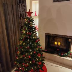 Mary's Modern and Elegant apartment