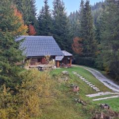 Brunarica na Goreljeku, Pokljuka