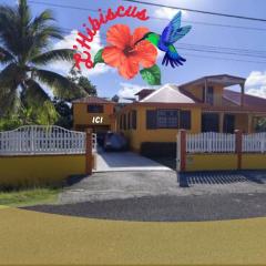 L'hibiscus