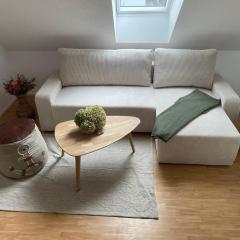 All Homes Apartments