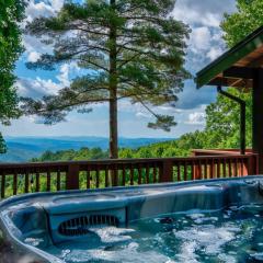 1 Sublime View