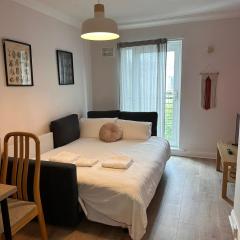 Compact 1 bedroom apt plus sofa bed next to Guinness