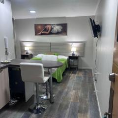 Departamentos Santiagos centro #10